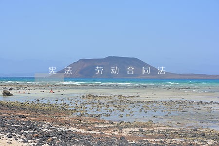 宪法 劳动合同法 宪法 劳动合同法